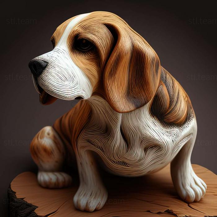 Animals Beagle dog